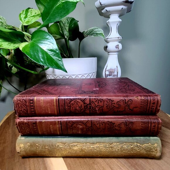 Set of 3 James Fenimore Cooper Hard Cover Novels, The Red Rover, The Spy, The Tw - Picture 2 of 9